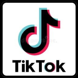 TikTok Logo